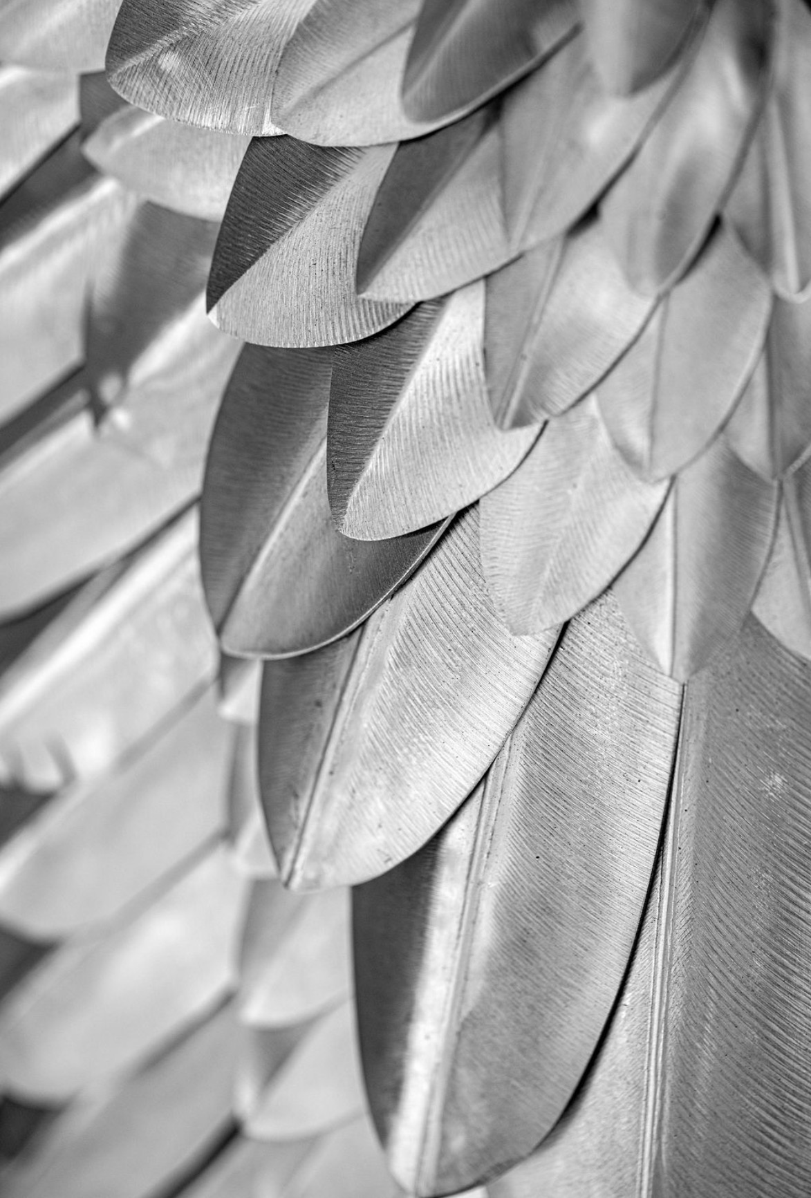 Black and white study of the layered stainless steel feathers