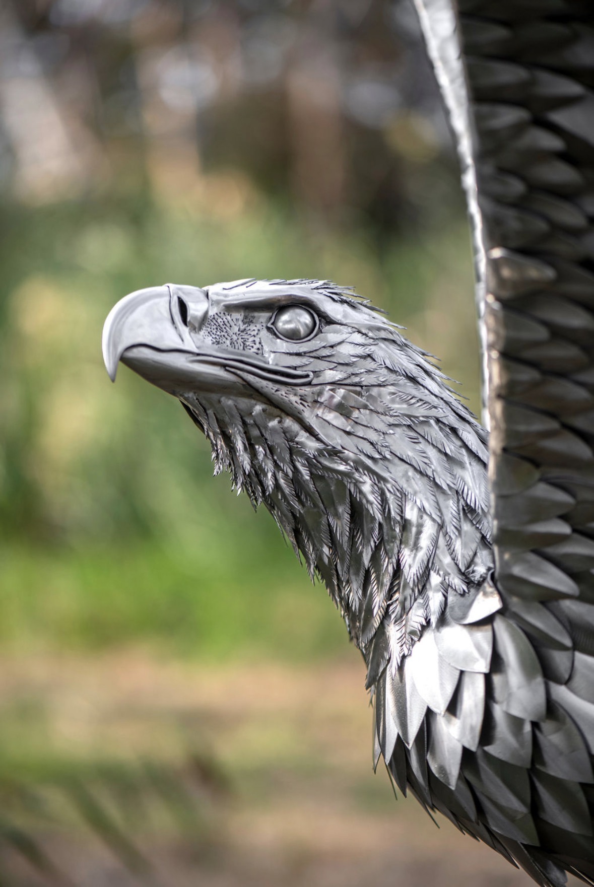 Profile of the eagle's head beside a raised wing